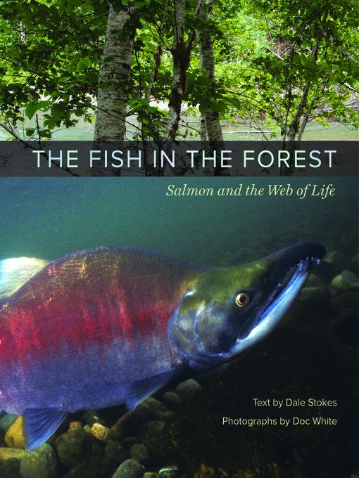 The Fish in the Forest