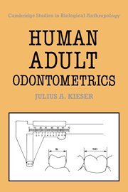 Human Adult Odontometrics