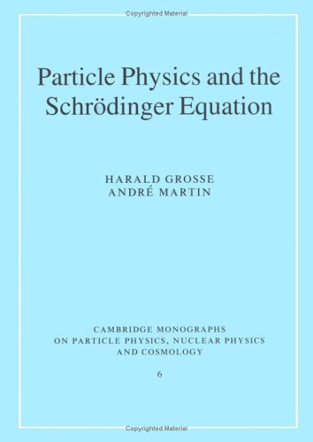 Particle Physics And The Schrödinger Equation