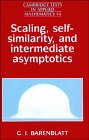 Scaling, Self Similarity, And Intermediate Asymptotics