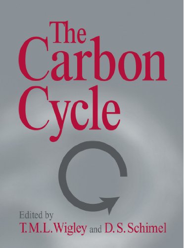 The Carbon Cycle