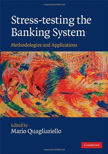 Stress-Testing the Banking System