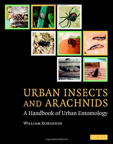 Urban Insects and Arachnids