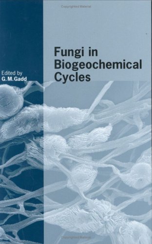 Fungi in Biogeochemical Cycles