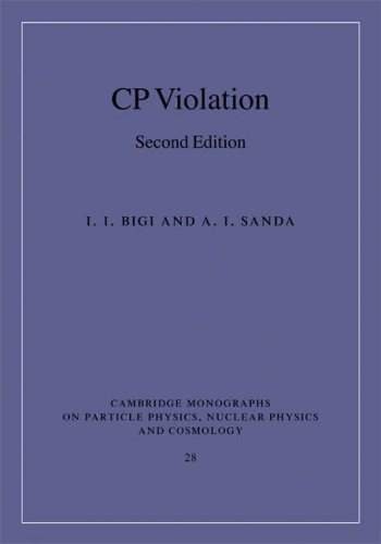 C.P. Violation