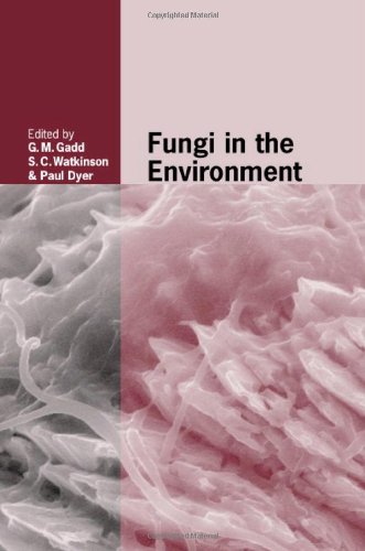 Fungi in the Environment (British Mycological Society Symposia)