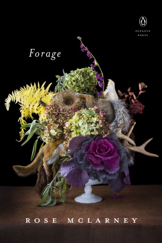 Forage