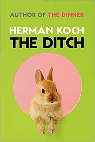 The Ditch: A Novel
