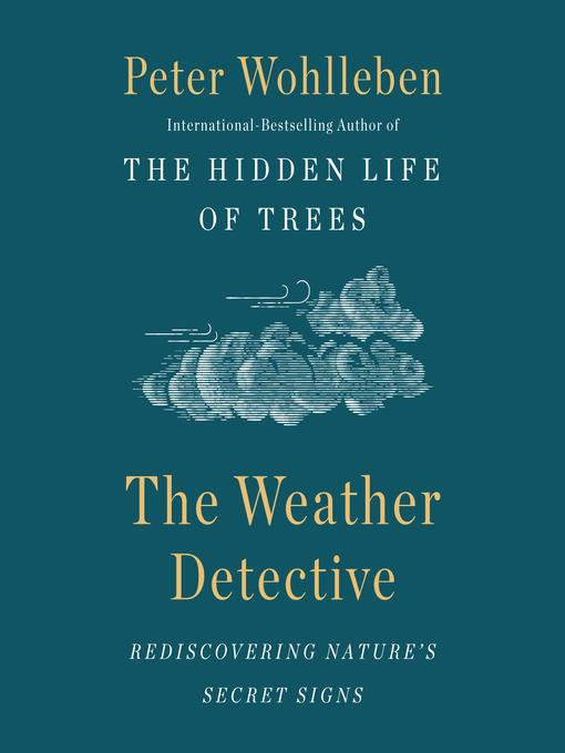 The Weather Detective