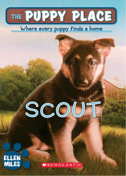 Scout