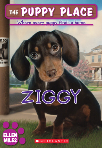 Ziggy