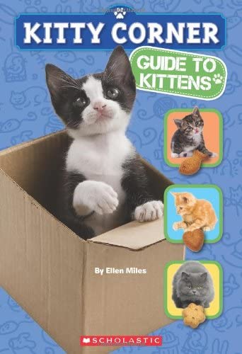 Kitty Corner: Guide to Kittens