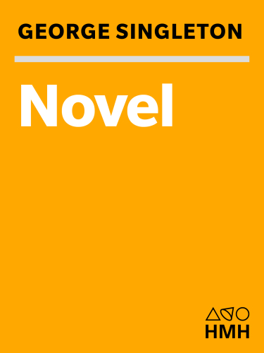 Novel
