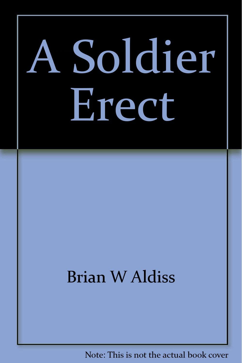 A Soldier Erect