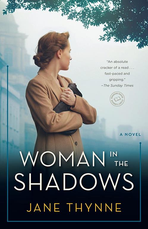 Woman in the Shadows: A Novel (Clara Vine)