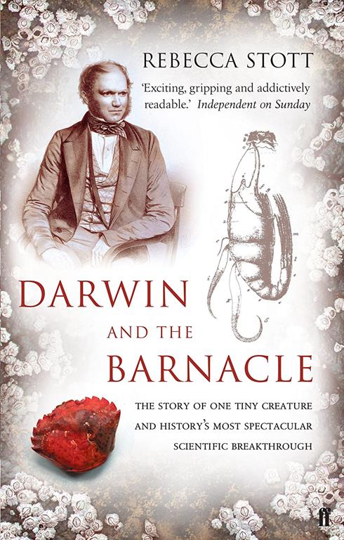 Darwin and the Barnacle