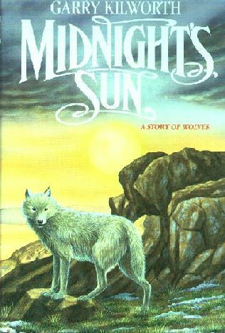 Midnight's Sun