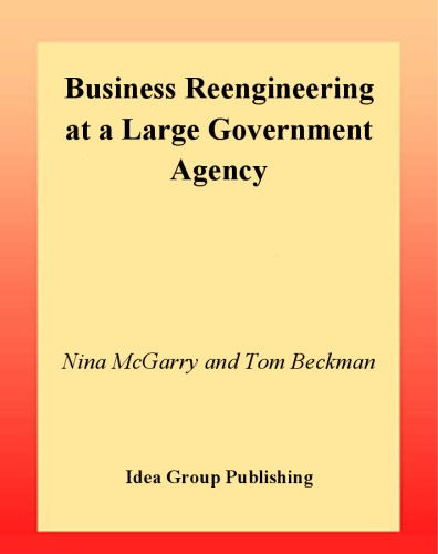 Business reengineering at a large government agency