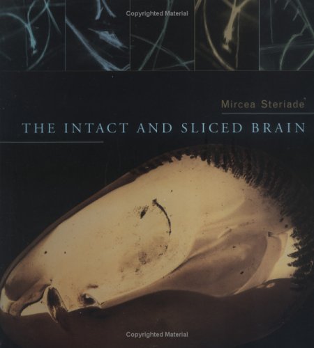 The intact and sliced brain