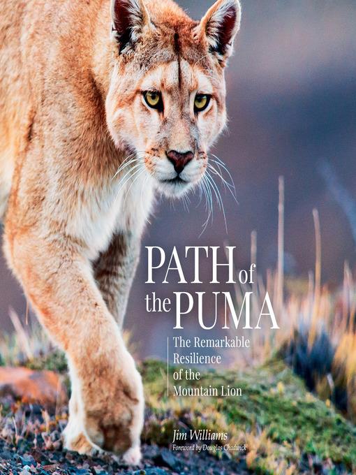 Path of the Puma