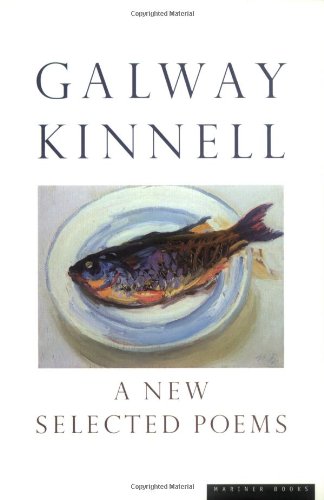 A New Selected Poems