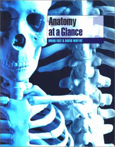 Anatomy at a Glance