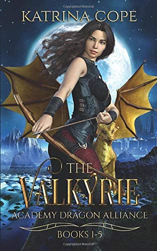 The Valkyrie Academy Dragon Alliance: Books 1 - 5: Omnibus of Chosen, Vanished, Scorned, Inflicted, &amp; Empowered (Valkyrie Academy Dragon Alliance Collection)