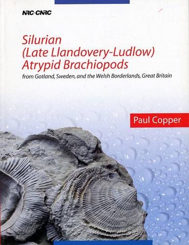 Silurian (Late Llandovery-Ludlow) Atrypid Brachiopods