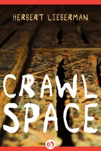 Crawlspace