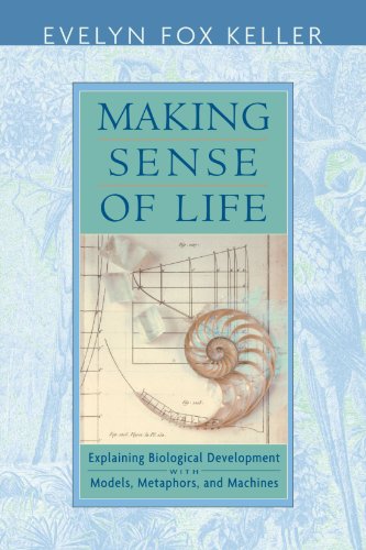 Making Sense of Life