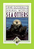 Sea Otters