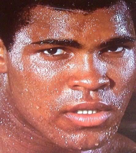 Muhammad Ali: A Portrait in Words and Photographs