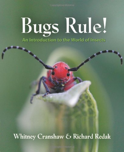 Bugs Rule!