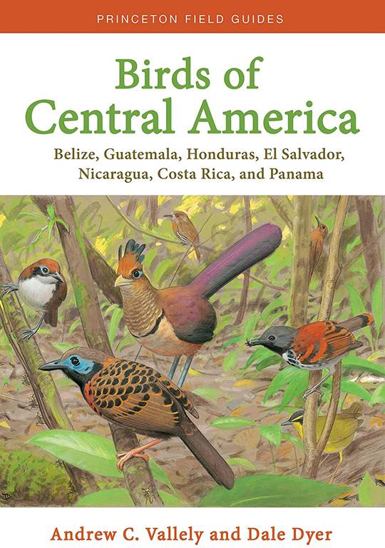 Birds of Central America