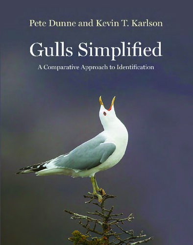 Gulls Simplified