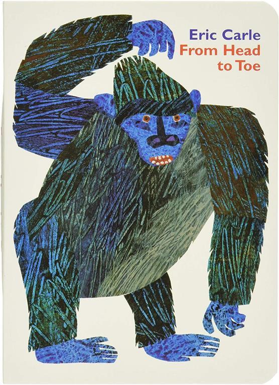 From Head to Toe Board Book