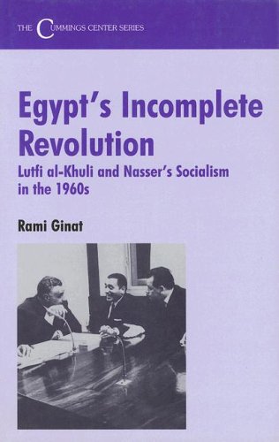 Egypt's Incomplete Revolution