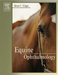 Equine Ophthalmology