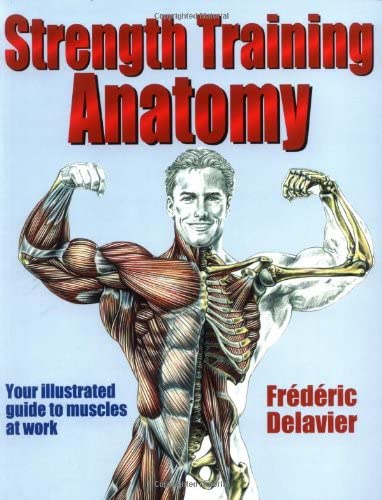 Strength Training Anatomy