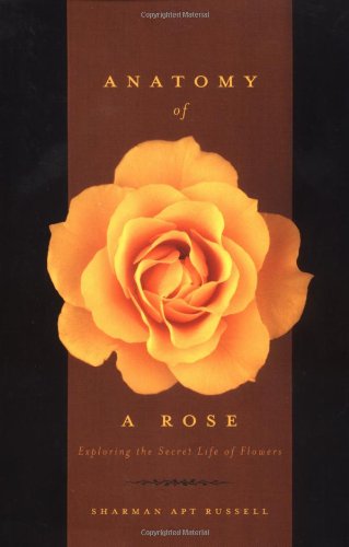 Anatomy Of A Rose