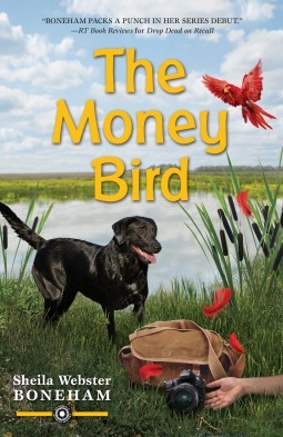 The Money Bird