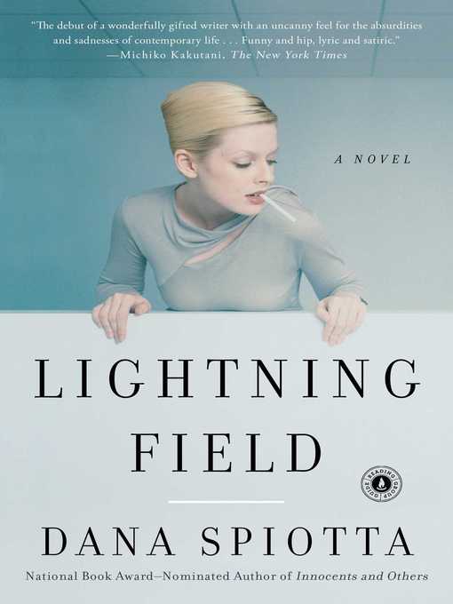 Lightning Field