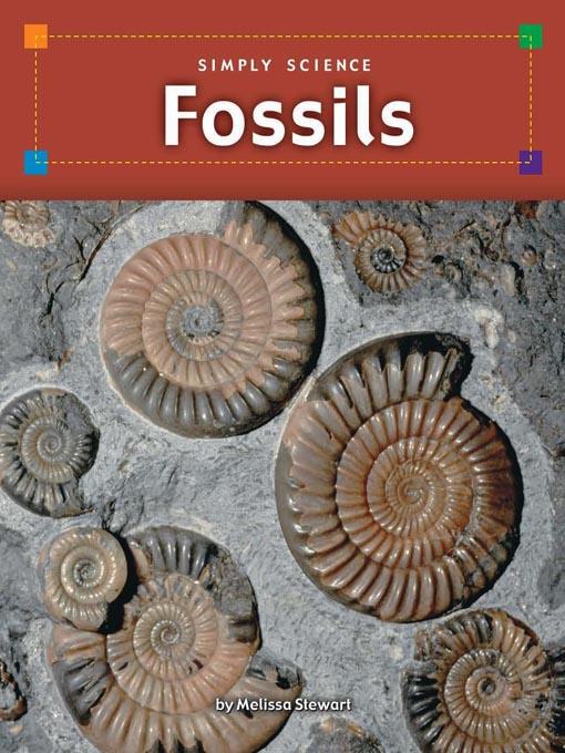 Fossils