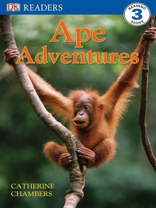 Ape Adventures