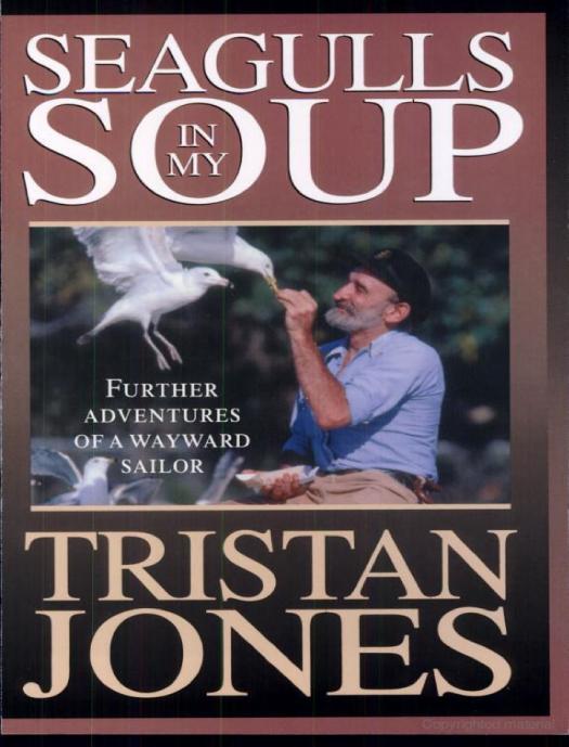 Seagulls in my soup : further adventures of a wayward sailor