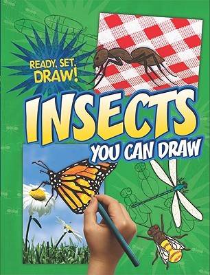 Insects You Can Draw