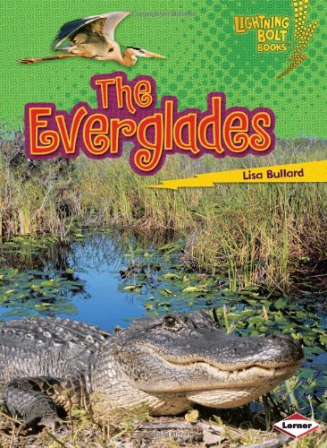 The Everglades