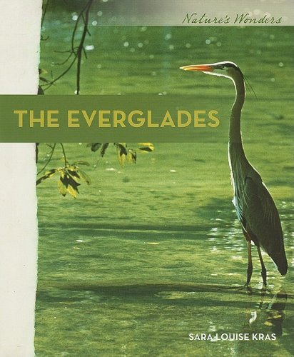 The Everglades