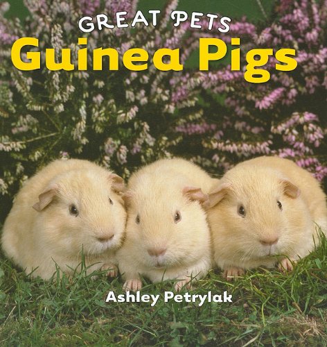 Guinea pigs