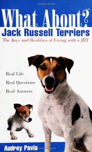 What About Jack Russell Terriers